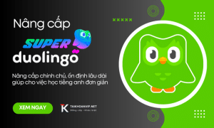 Nâng Cấp Tài Khoản Super Duolingo